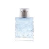 Vicky Tiel Achille 100ml for men perfume EDT (Tester) Vicky Tiel Achille 100ml for men perfume EDT (Tester)