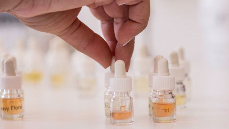 The Perfume Brands Masters The Perfume Brands Masters