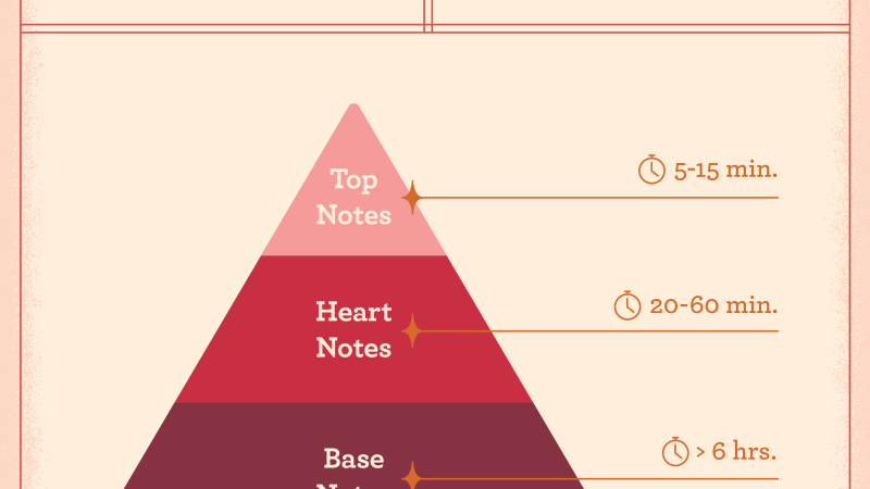 What are perfume's Notes? What are perfume's Notes?